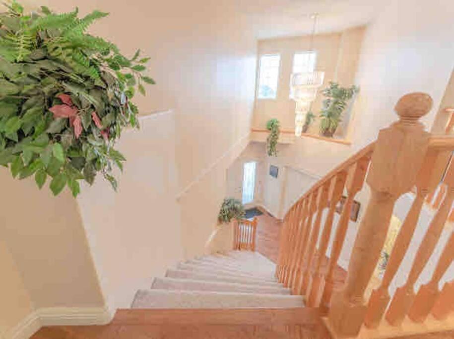 Вилла 2500 Sq House In Springbank Hill Bl 261818 Калгари Экстерьер фото